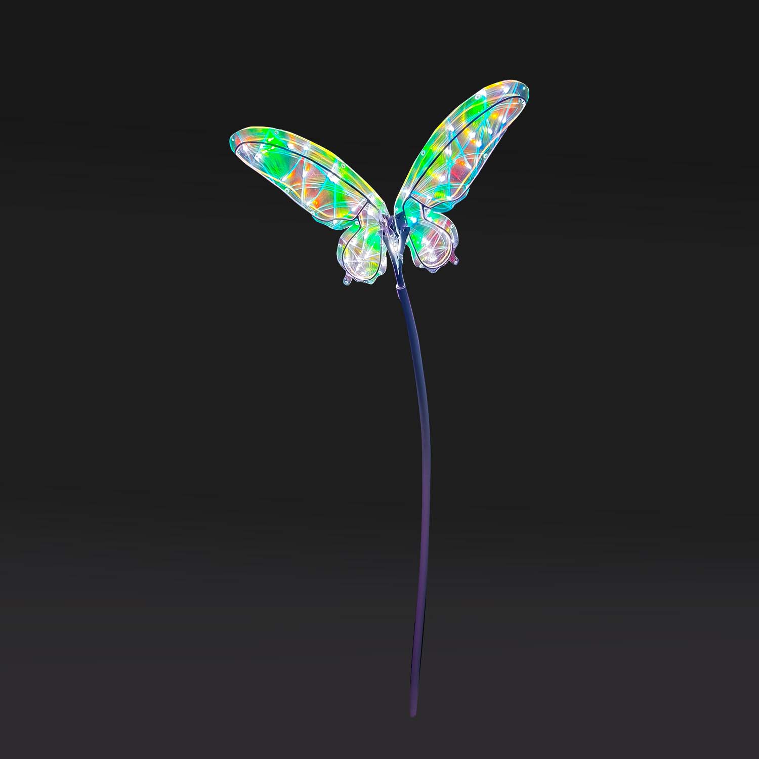 LEDドリームシャイン　フライングバタフライ