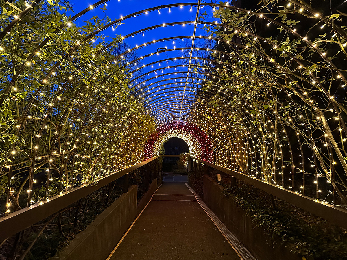 水戸植物公園