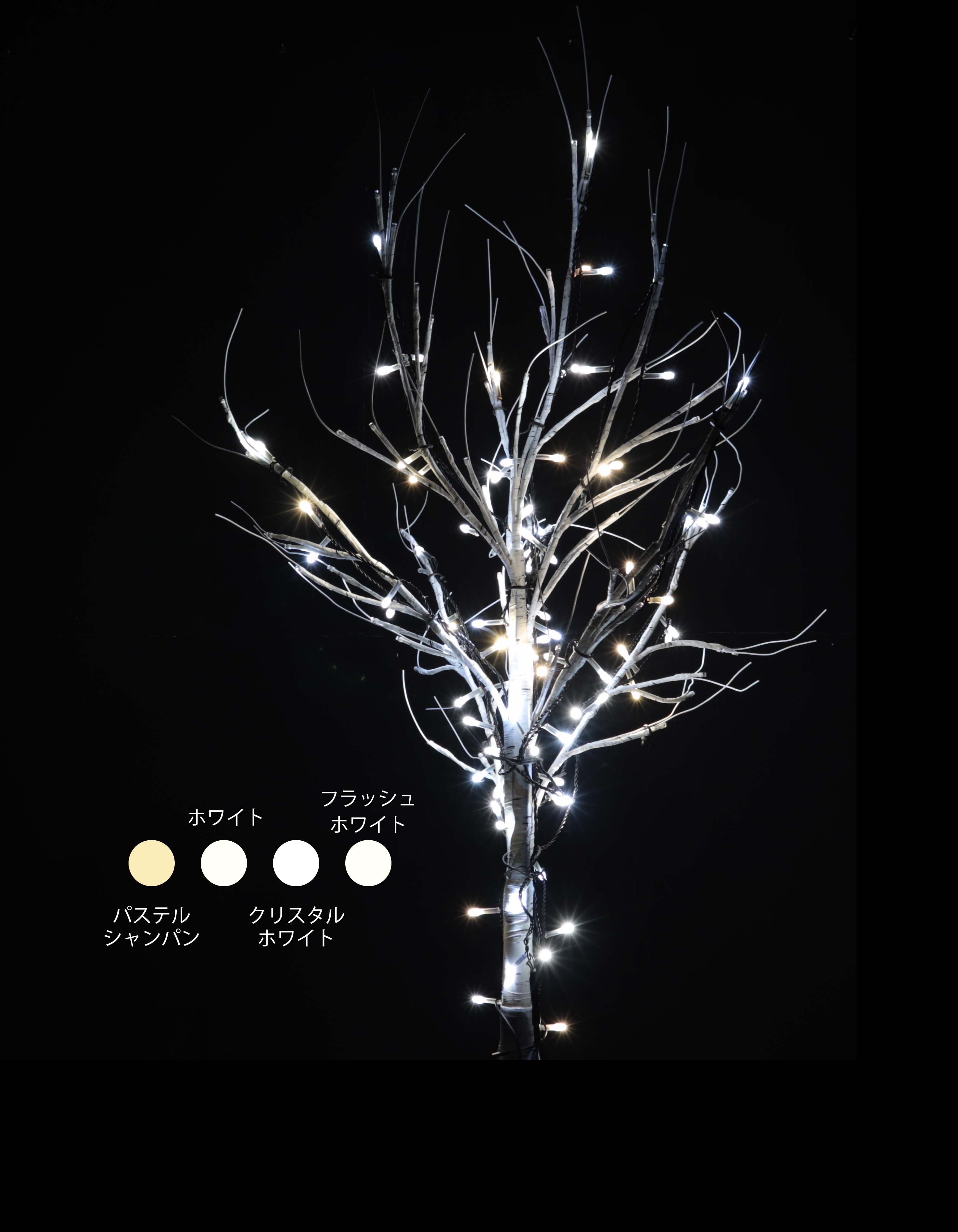 カラー・サイズ：ホワイト