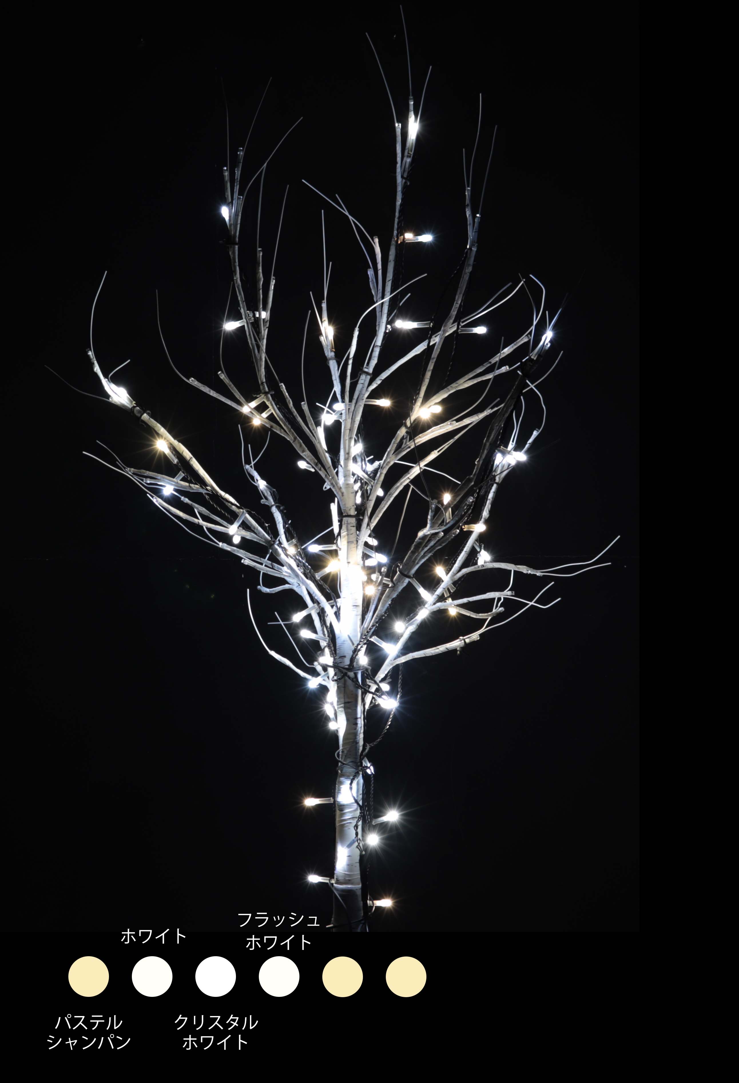 カラー・サイズ：イエローゴールド