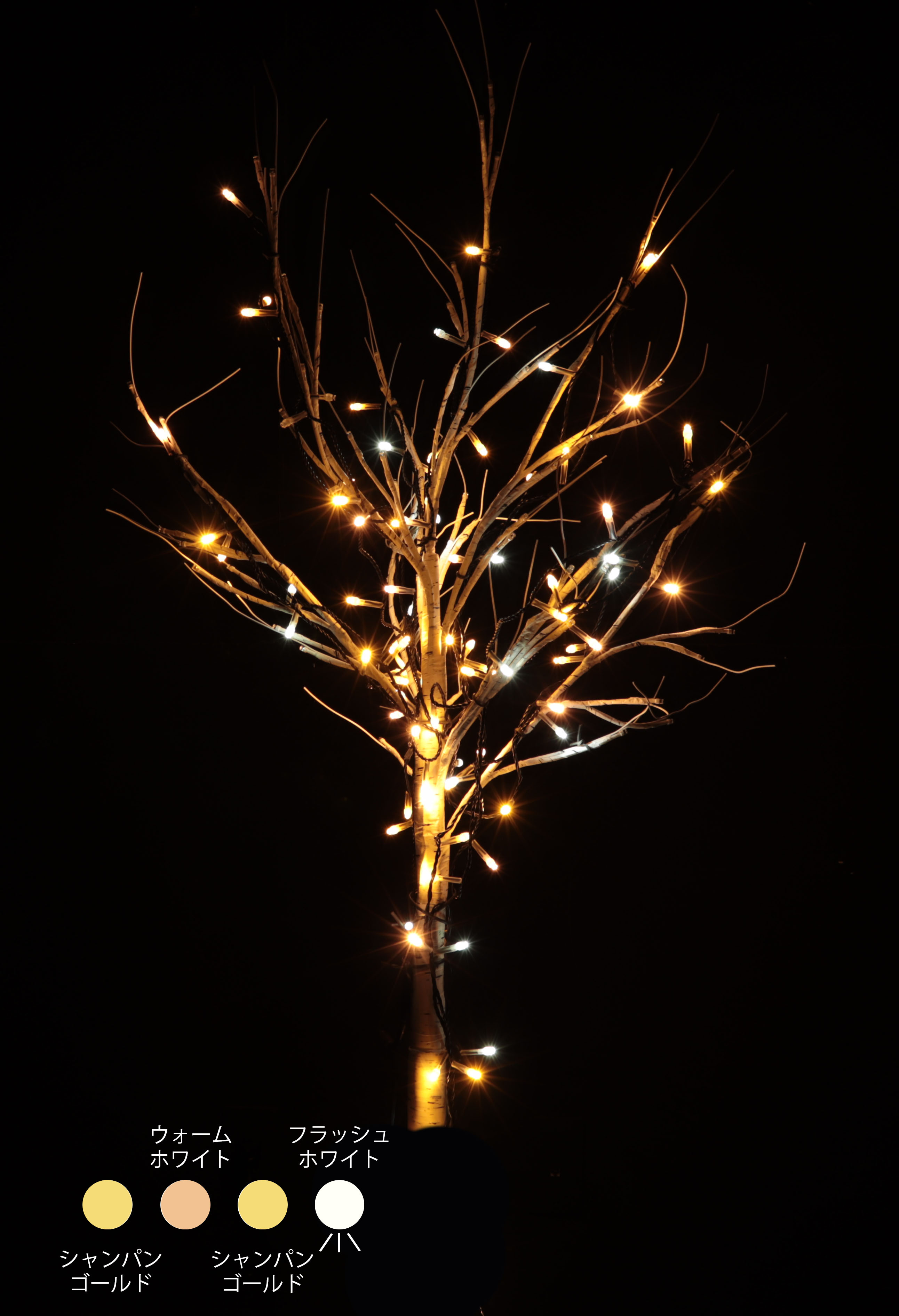 カラー・サイズ：カマイユゴールド