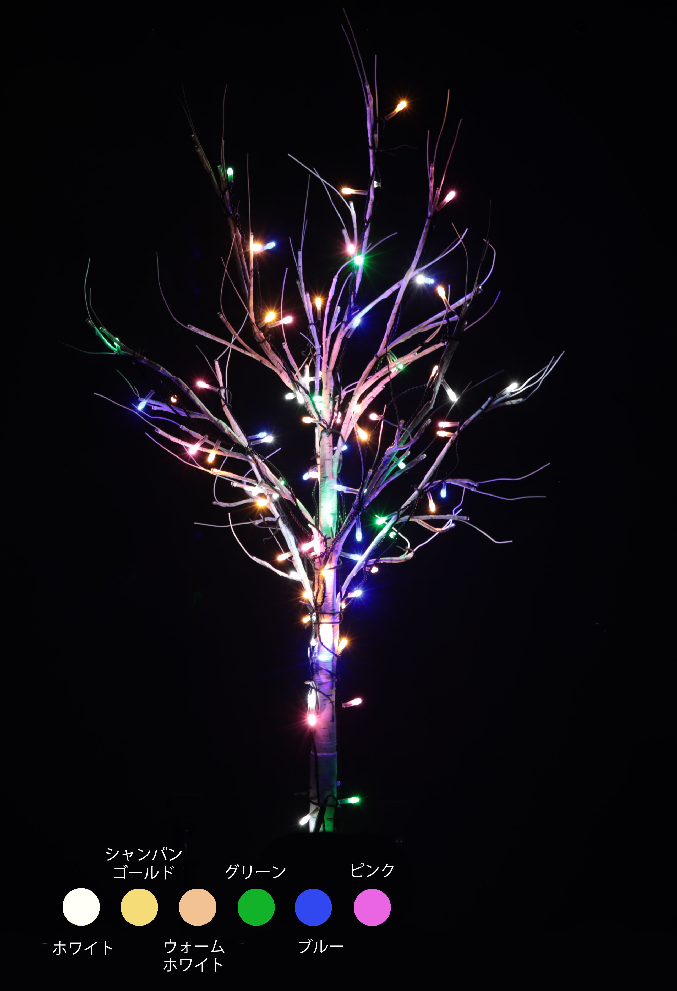 カラー・サイズ：ジュエリーマルチ