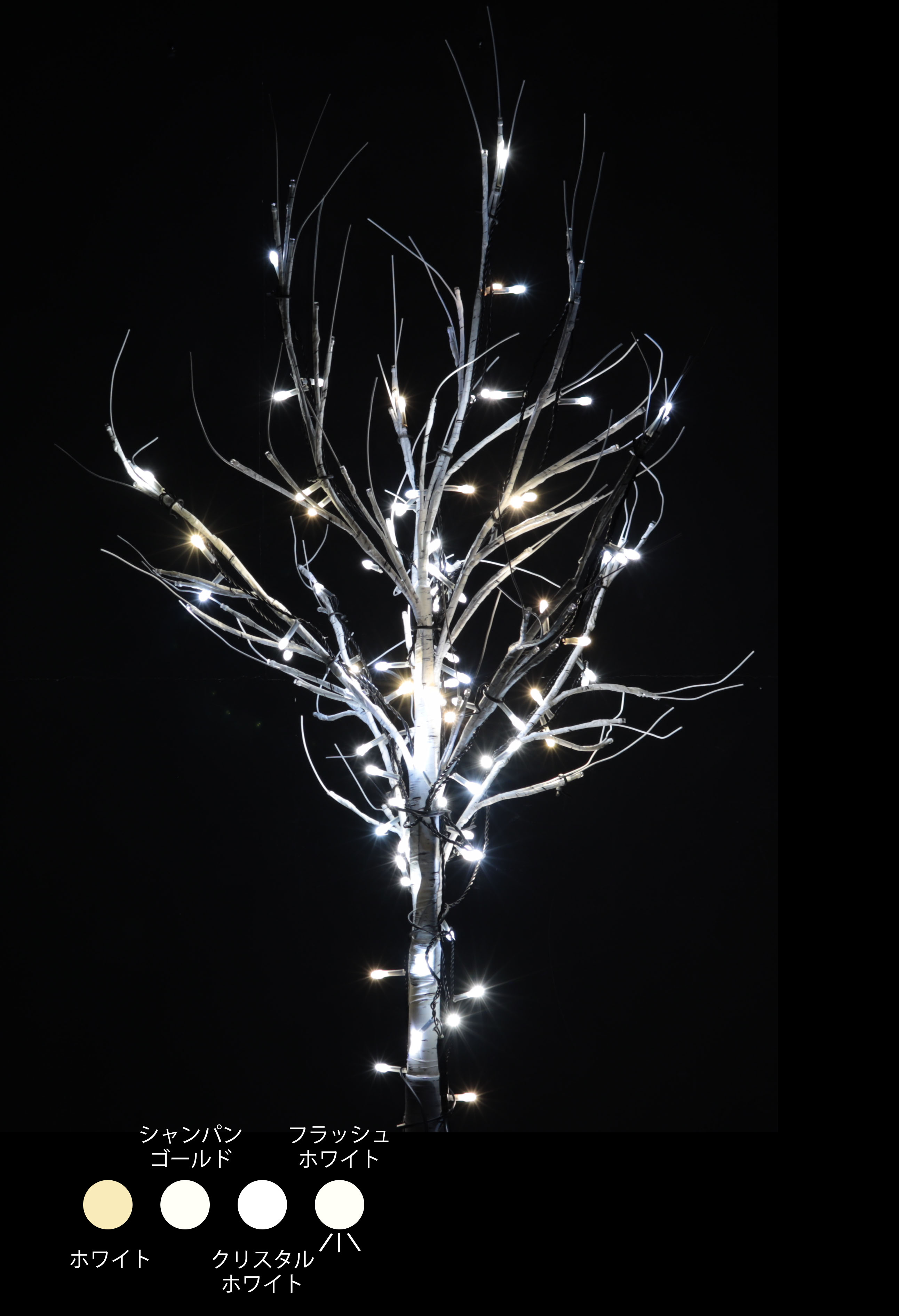 カラー・サイズ：カマイユホワイト