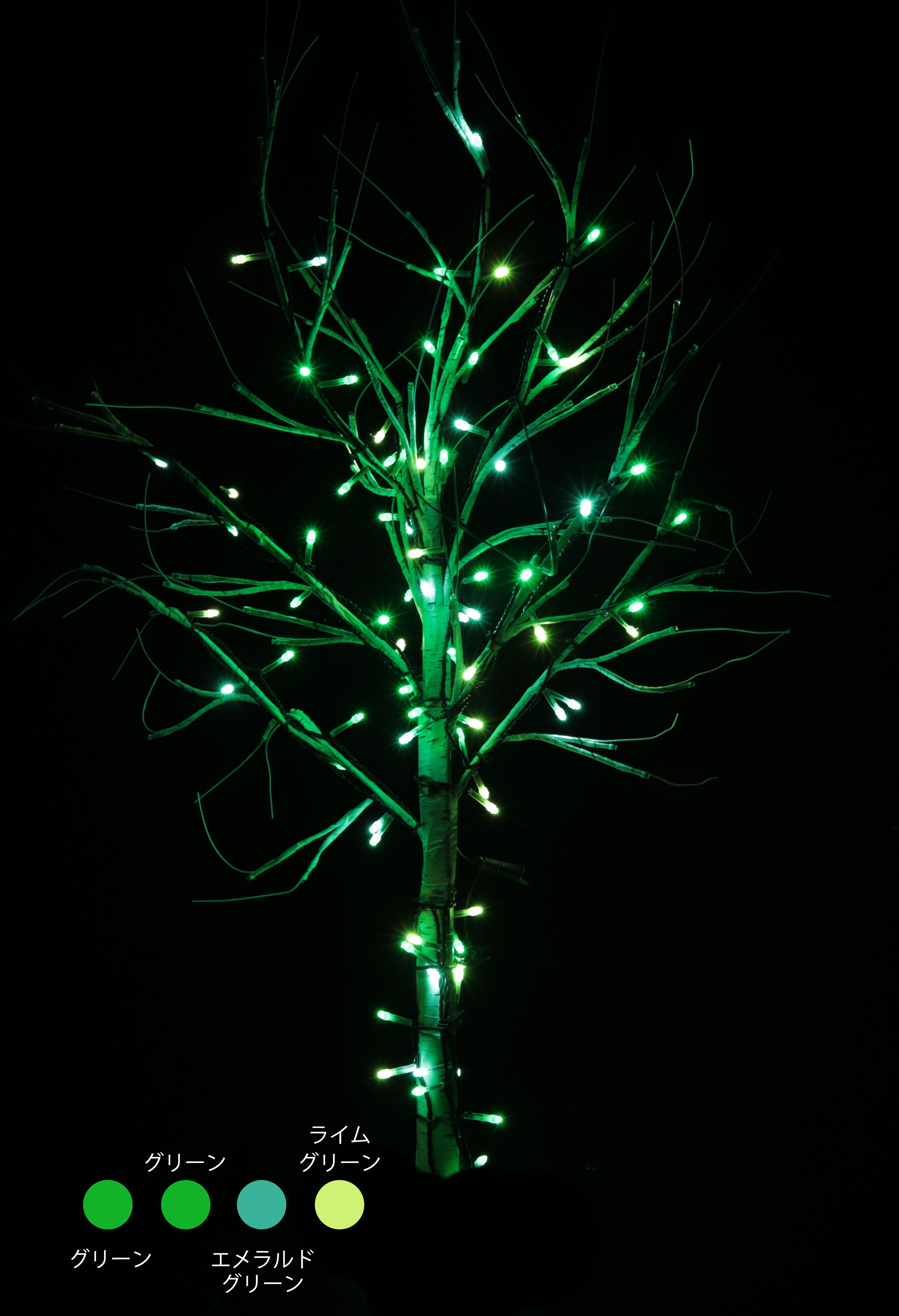 カラー・サイズ：スプリングハーモニー