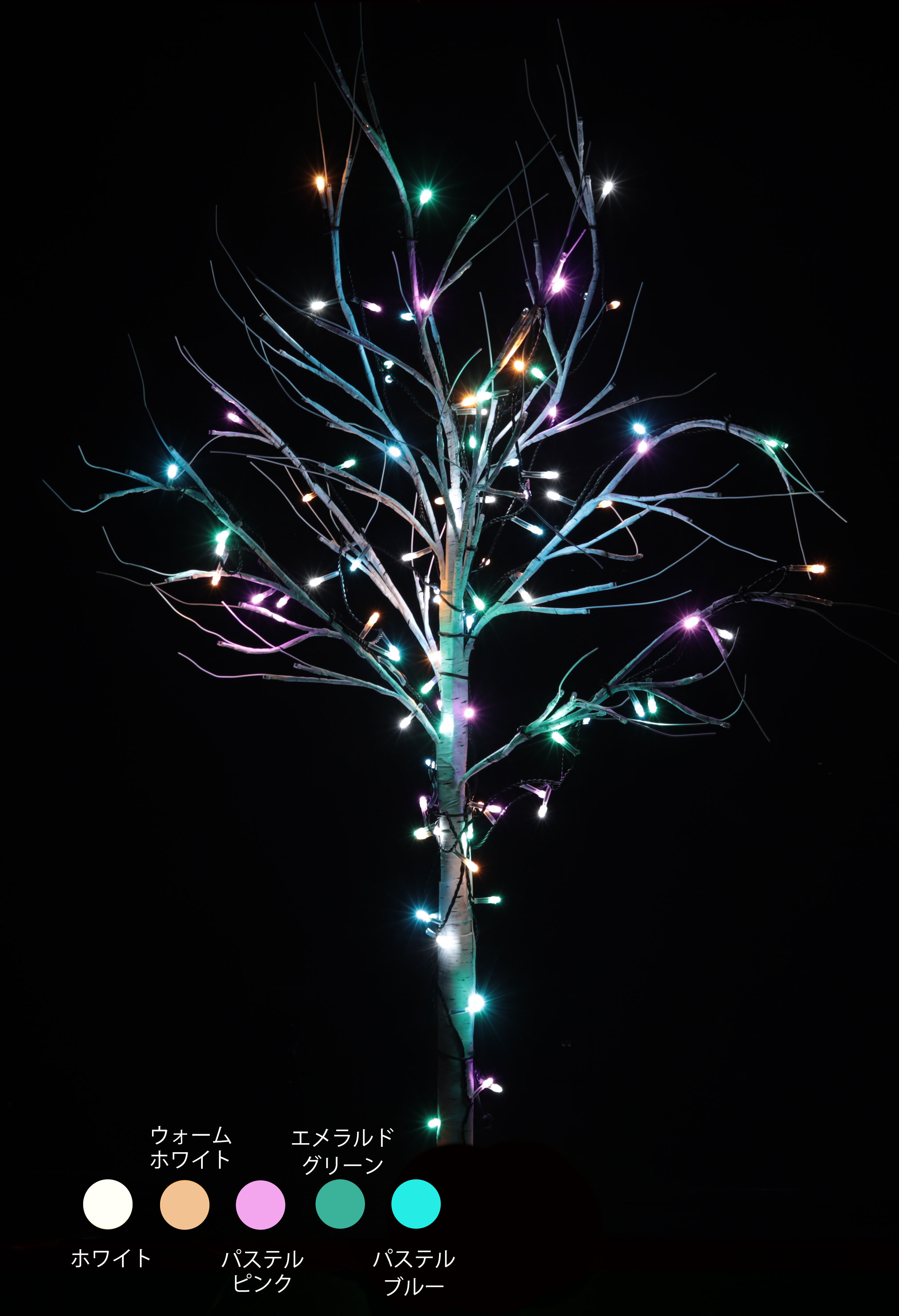 カラー・サイズ：パステルマルチ