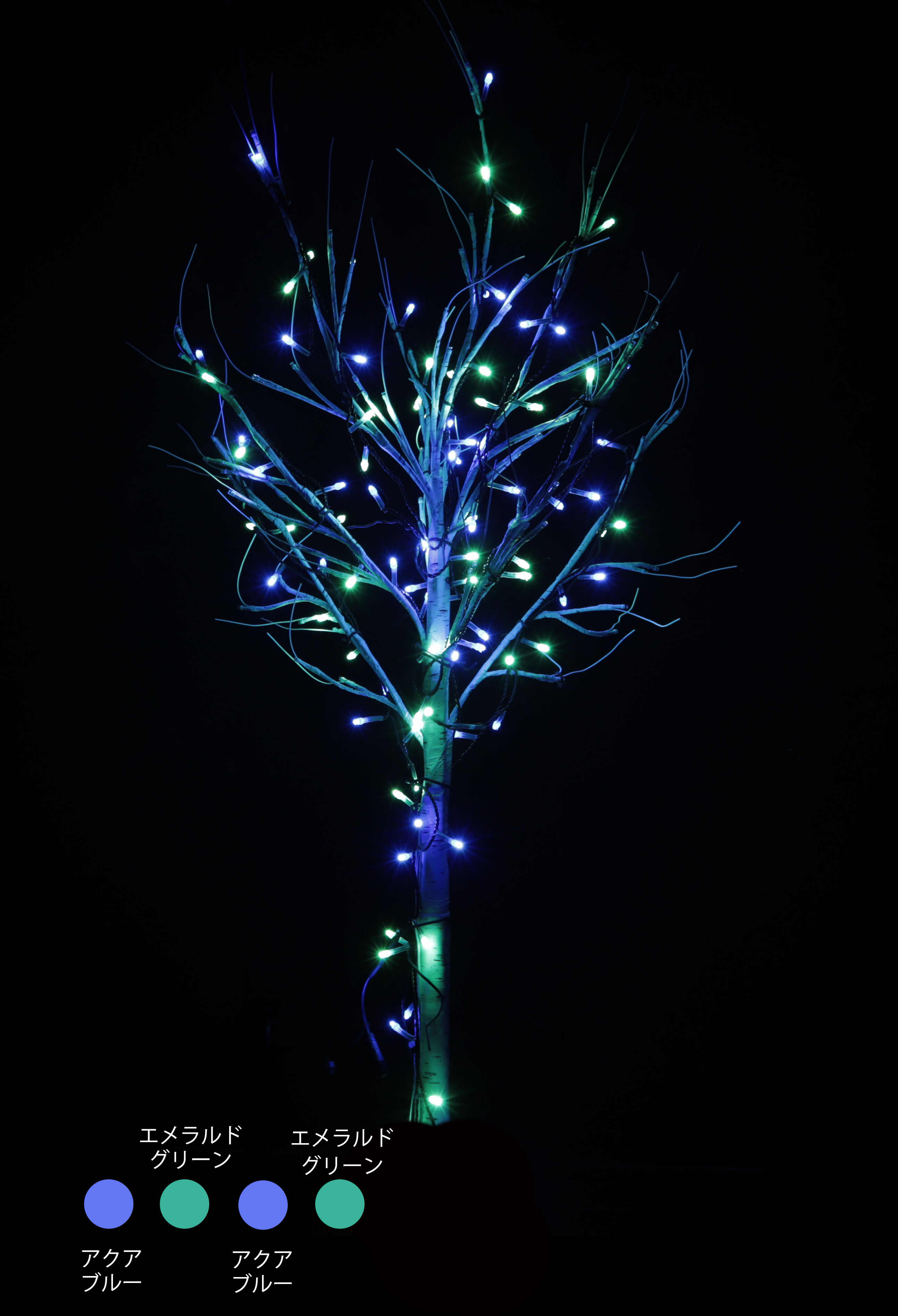 カラー・サイズ：アクアブルー×エメラルドグリーン