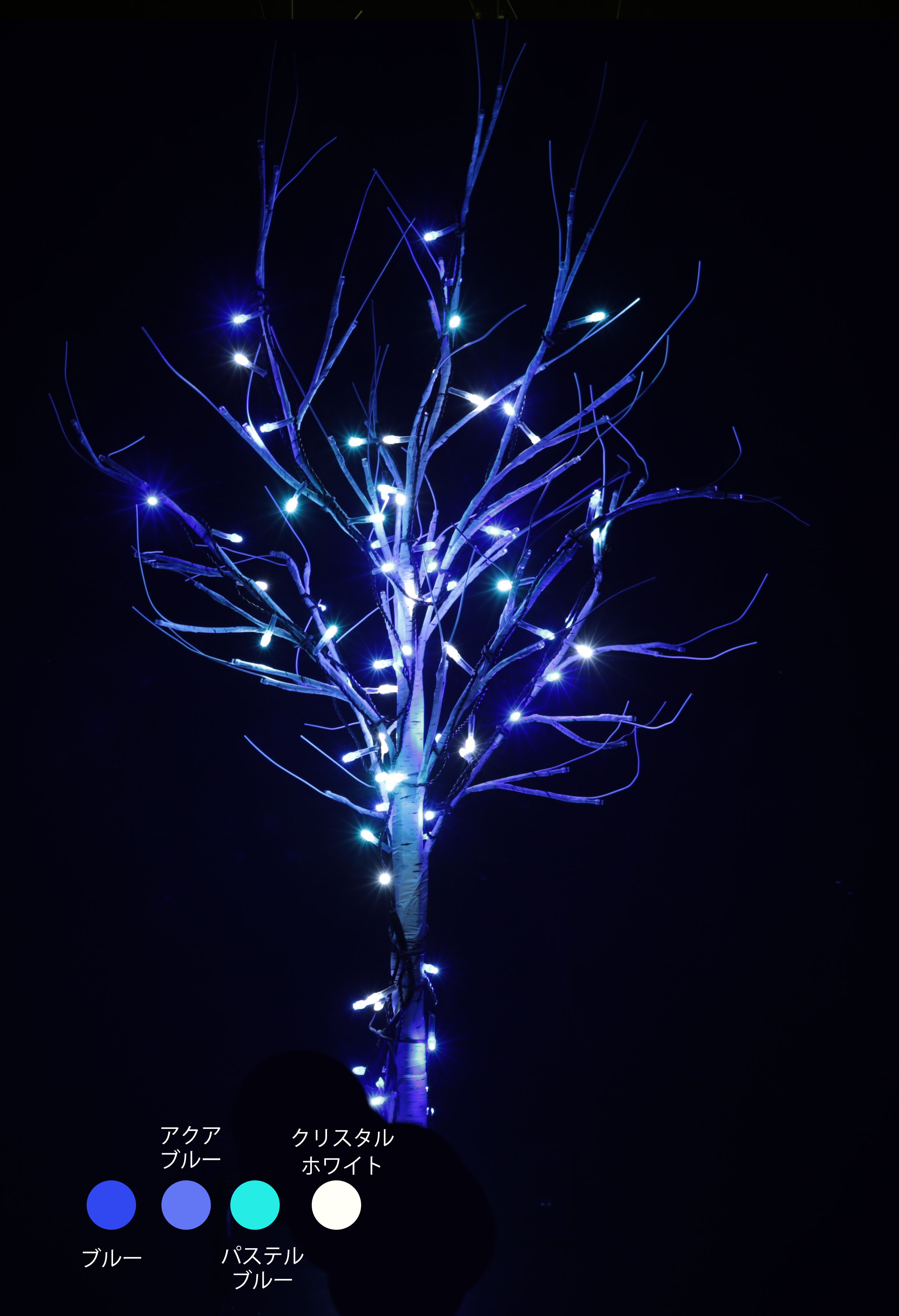 カラー・サイズ：グラデーションブルー