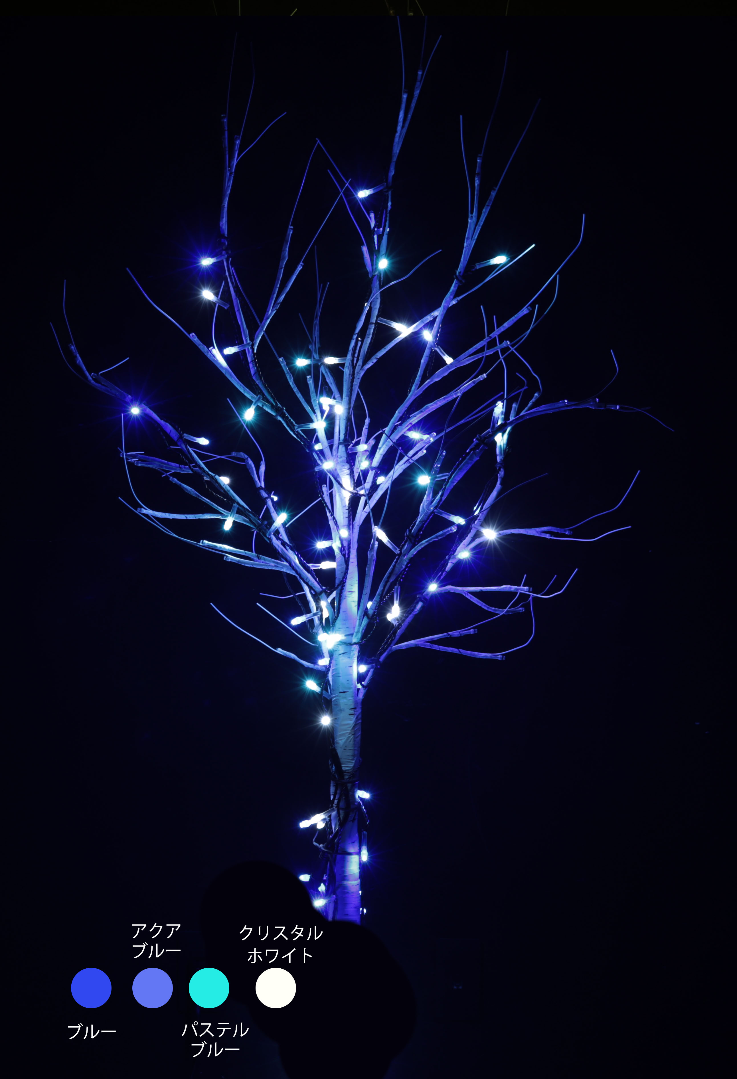 カラー・サイズ：グラデーションブルー