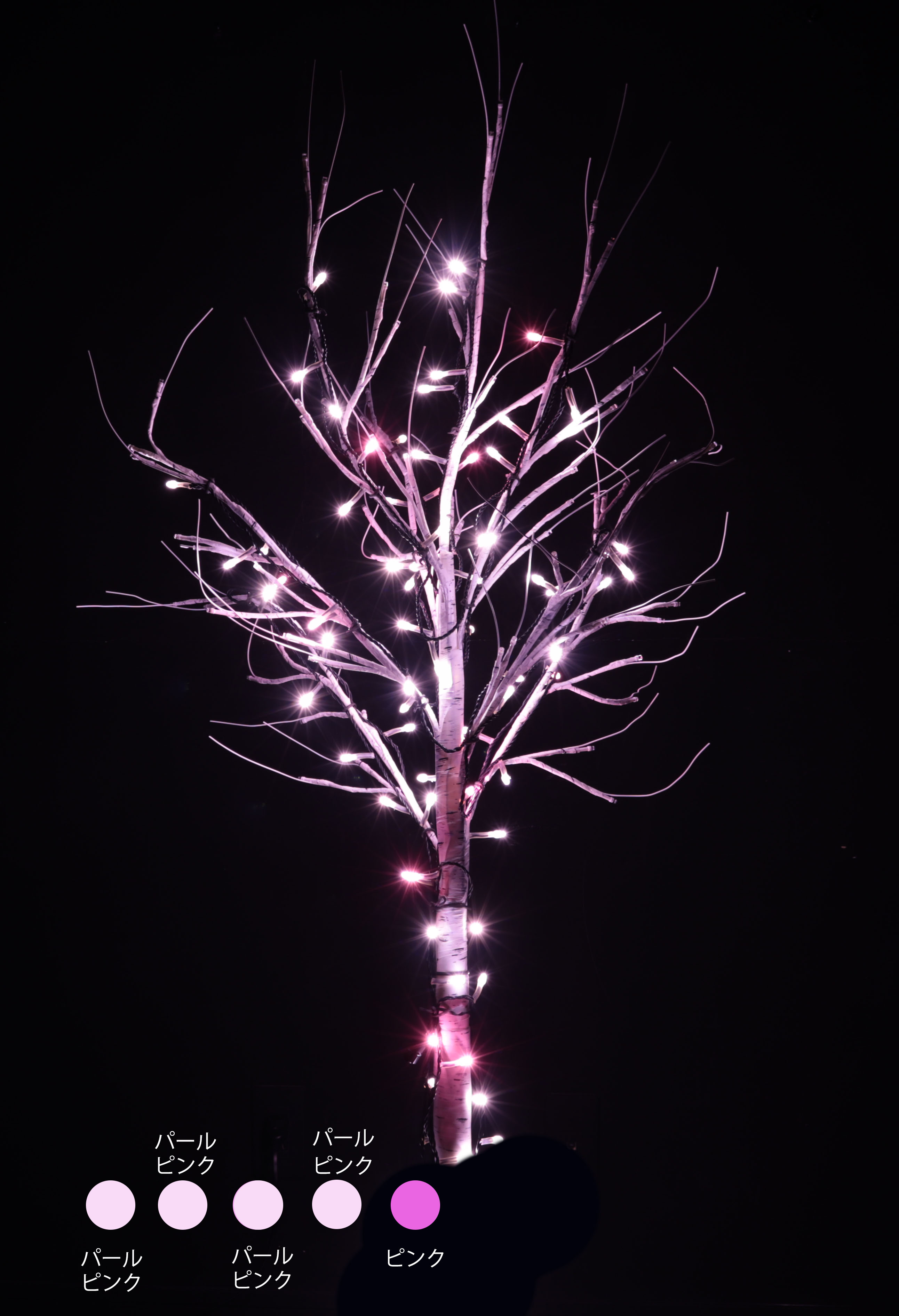 カラー・サイズ：夜桜