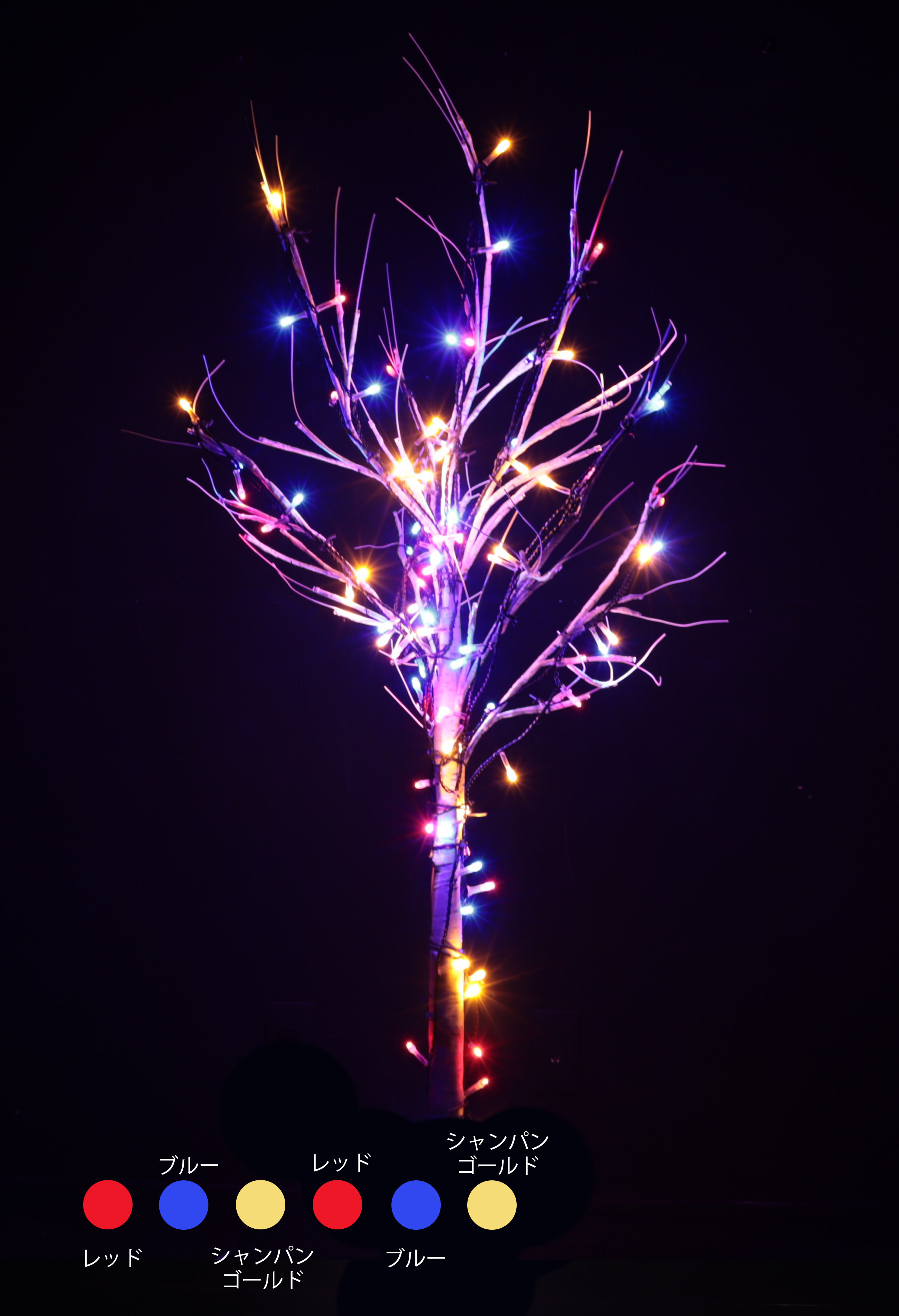 カラー・サイズ：ドラマチックパレード