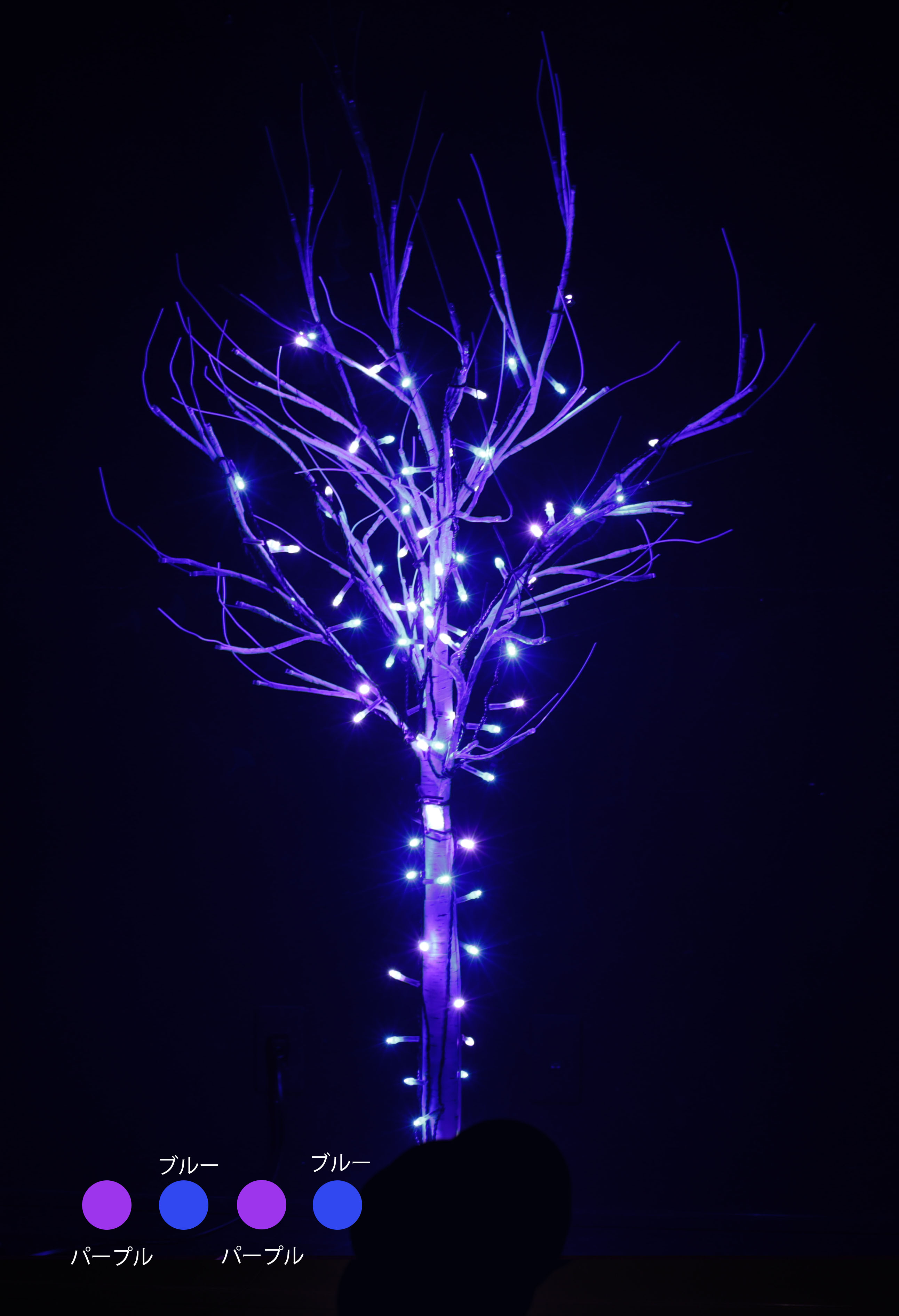 カラー・サイズ：パープル×ブルー