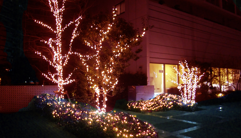 マンションの周りにある植栽や樹木にイルミネーションを取付させていただきました。